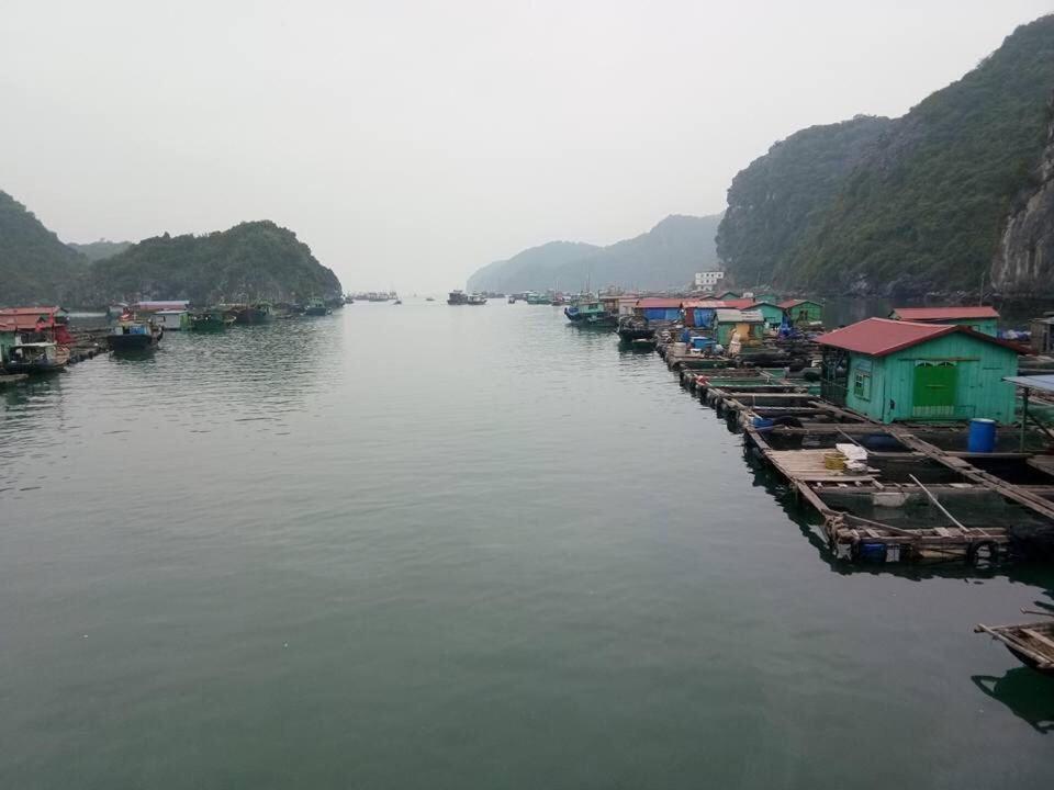 Cat Ba Daily Life Hotel Dong Khe Sau Buitenkant foto